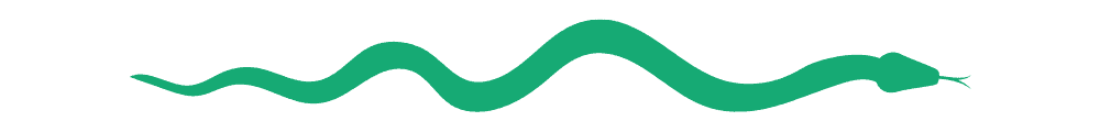 nuovo divisorio per serpenti
