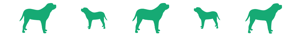 divisore-cane