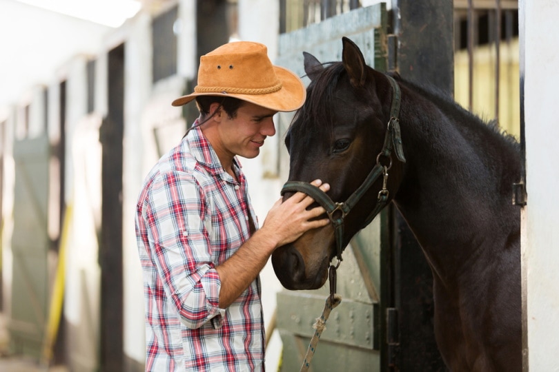 uomo che conforta un cavallo nella stalla