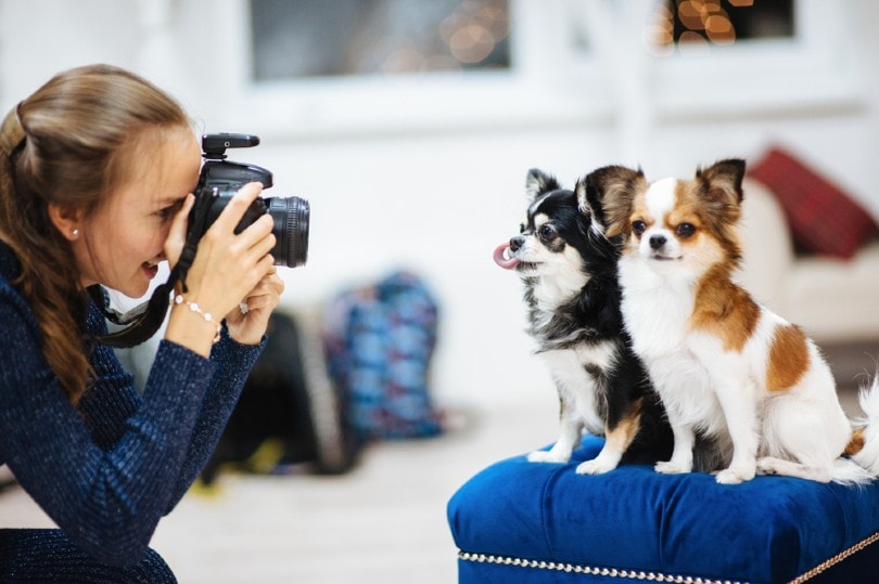 ragazza caucasica che fotografa dei cagnolini