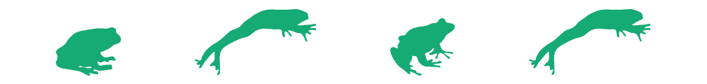 nuovo divisore per le rane