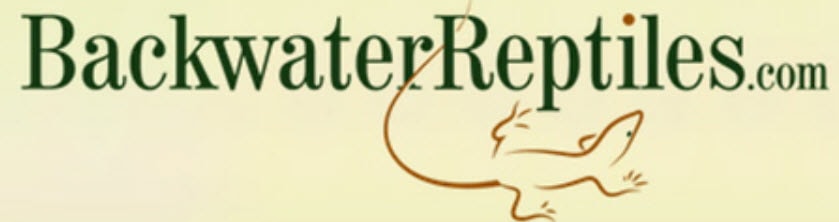 Logo Backwater Reptiles