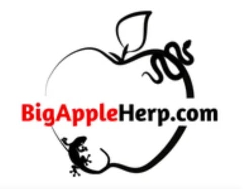 Logo Big Apple Herp