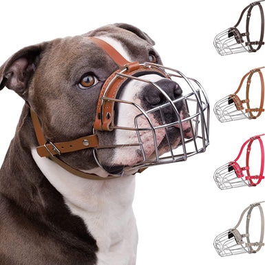 Museruola per cani Pitbull BRONZEDOG